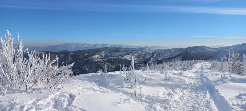 Widokowy Z Tarasem Bukowa Wisla
